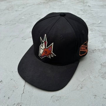 Vintage Starter NHL Center Ice Arizona Coyotes Hat