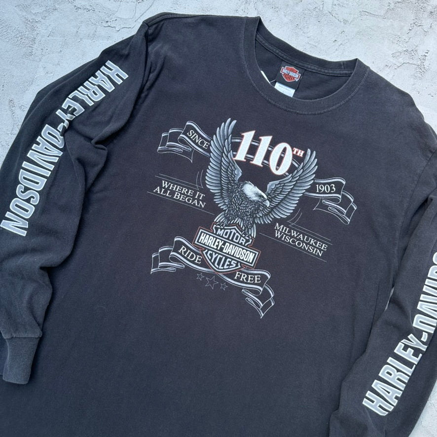 Harley Davidson Florida Long Sleeve Shirt - L